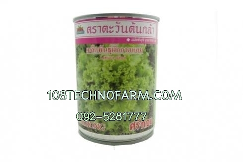 ผักกาดหอมศรีทอง 50g.